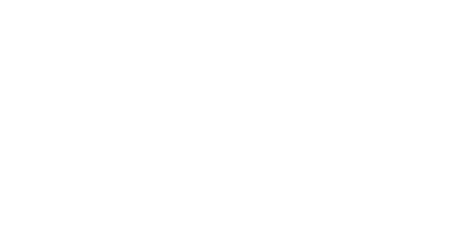 Retailer Icon