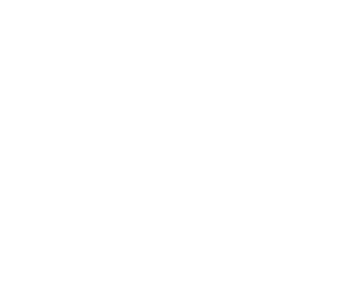 Retailer Icon