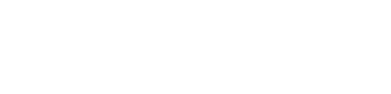Retailer Icon